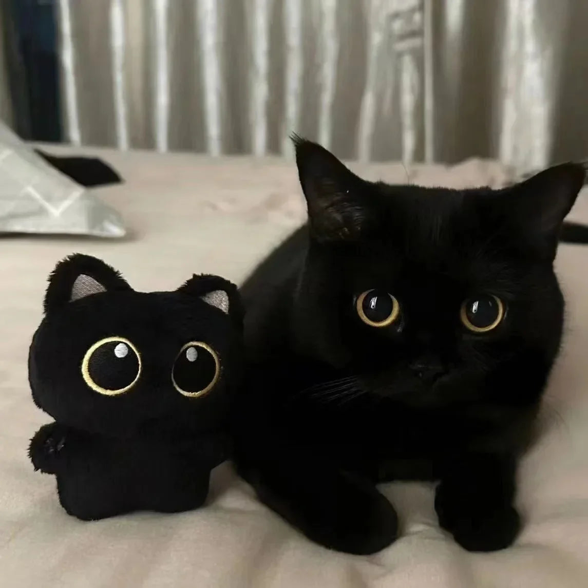 Cute Black Cat Plush Toy Doll – Soft Cuddly Pillow & Pendant Gift