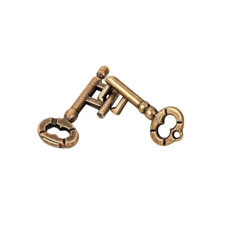 Metal Two-Key Brain Teaser Puzzle - Magic Key IQ Game for Kids & Adults