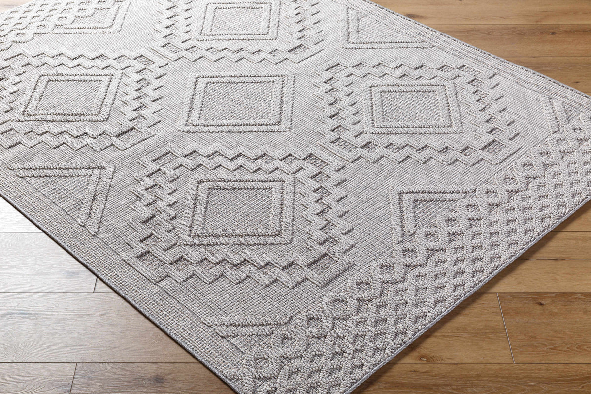 Arwid Light Gray Outdoor Area Rug - Clearance