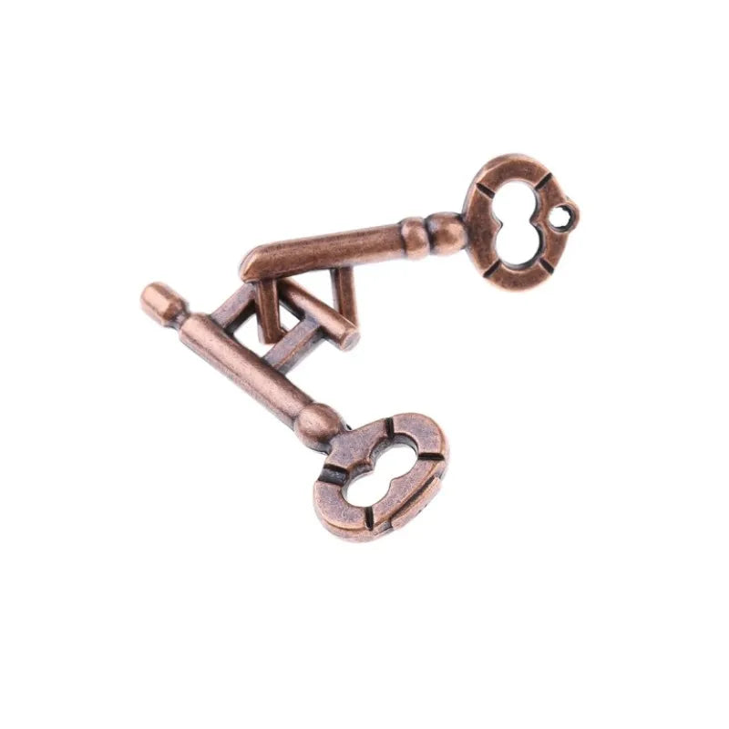 Metal Two-Key Brain Teaser Puzzle - Magic Key IQ Game for Kids & Adults