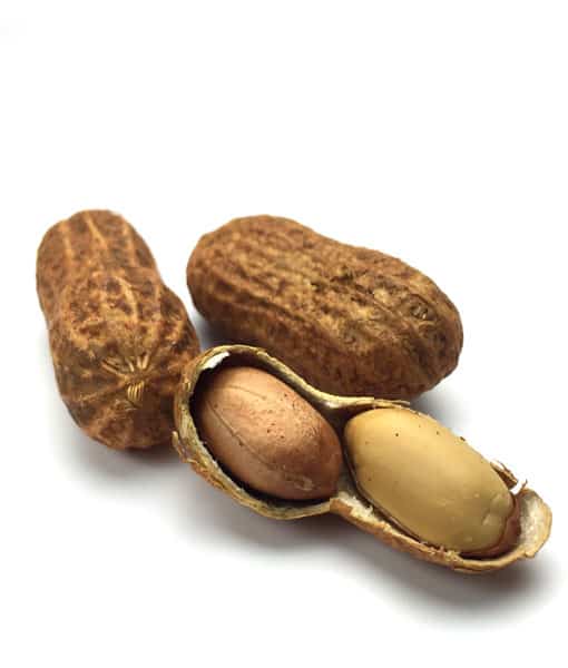 Southern Fried Hot Peanuts