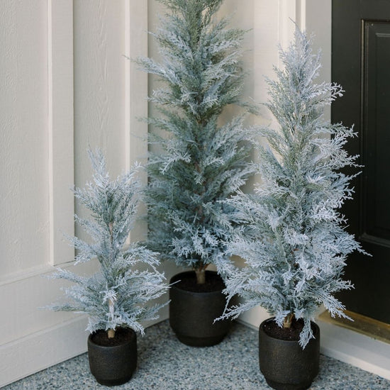 3' Flocked Cedar Tree