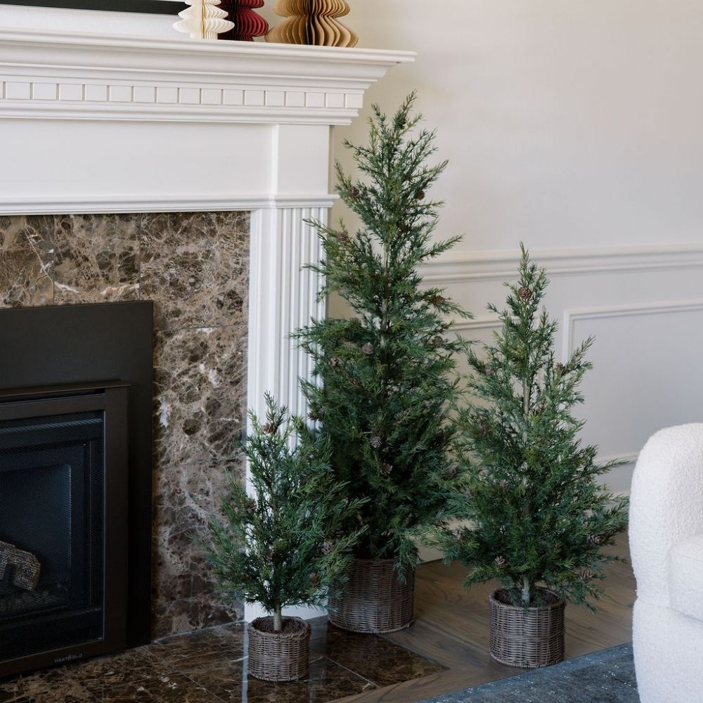 2' Pine Tree