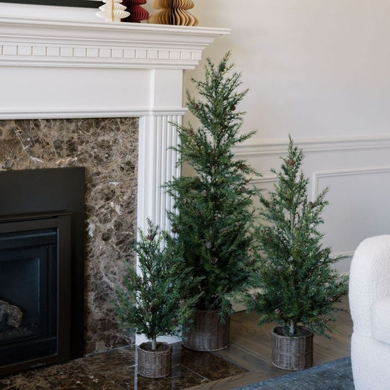 2' Pine Tree