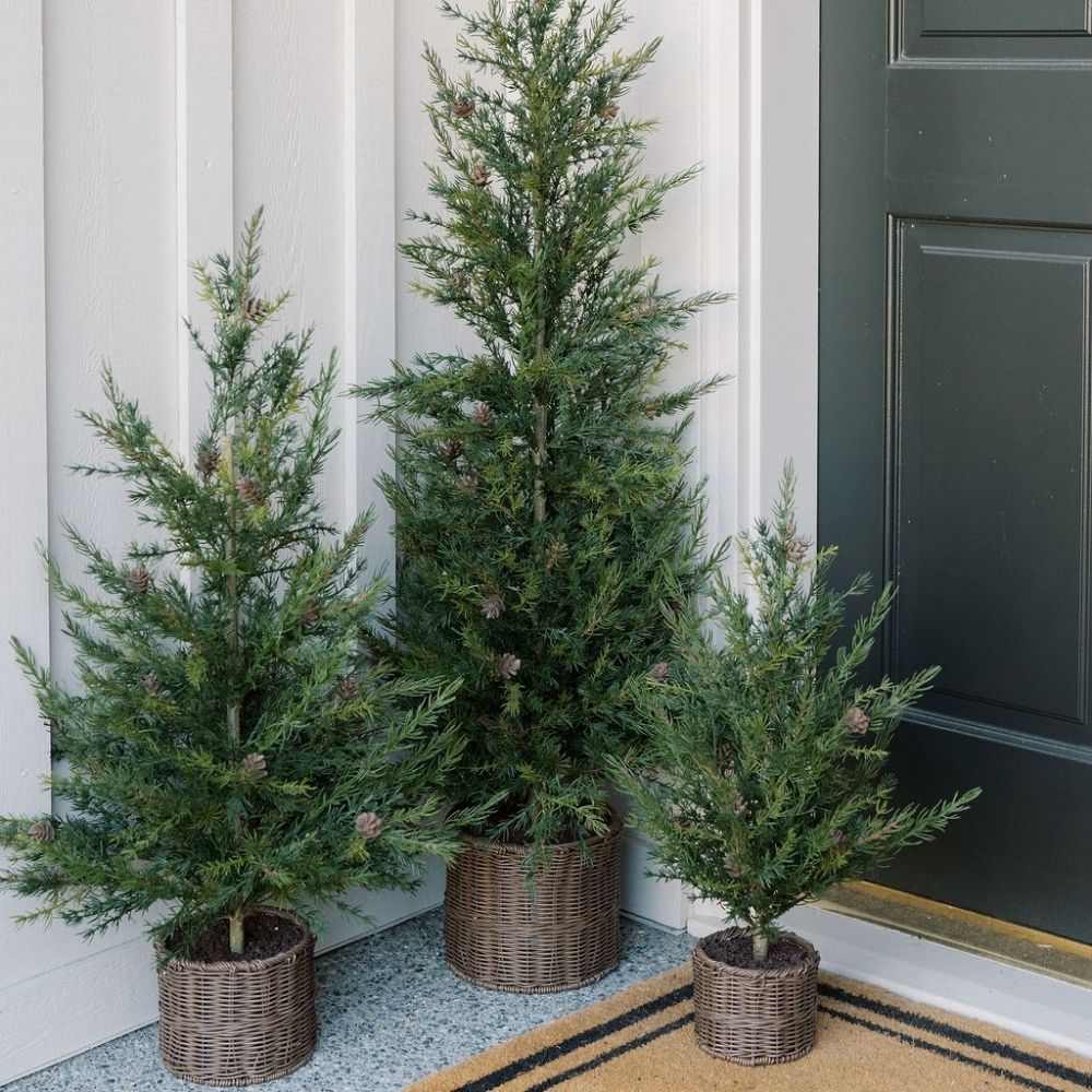 2' Pine Tree