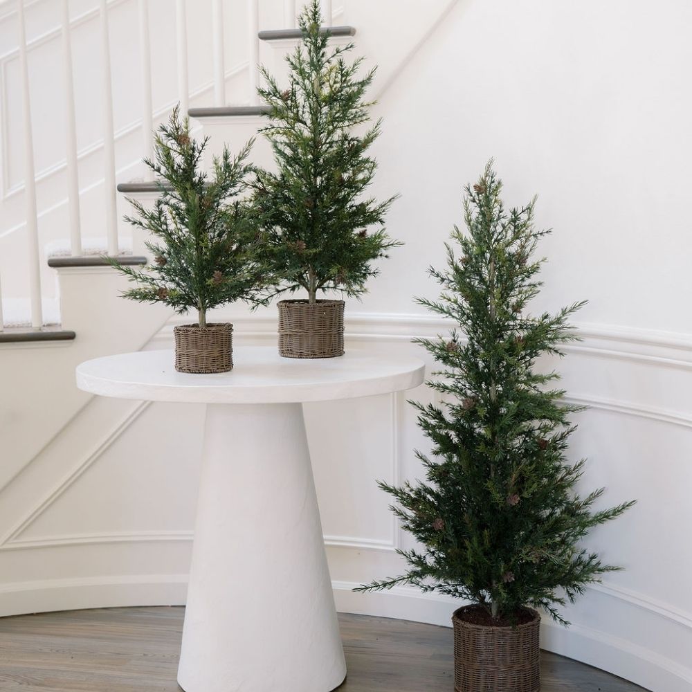 2' Pine Tree
