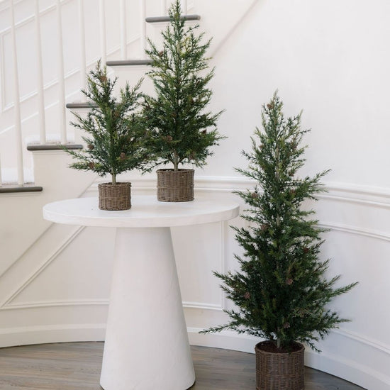 2' Pine Tree