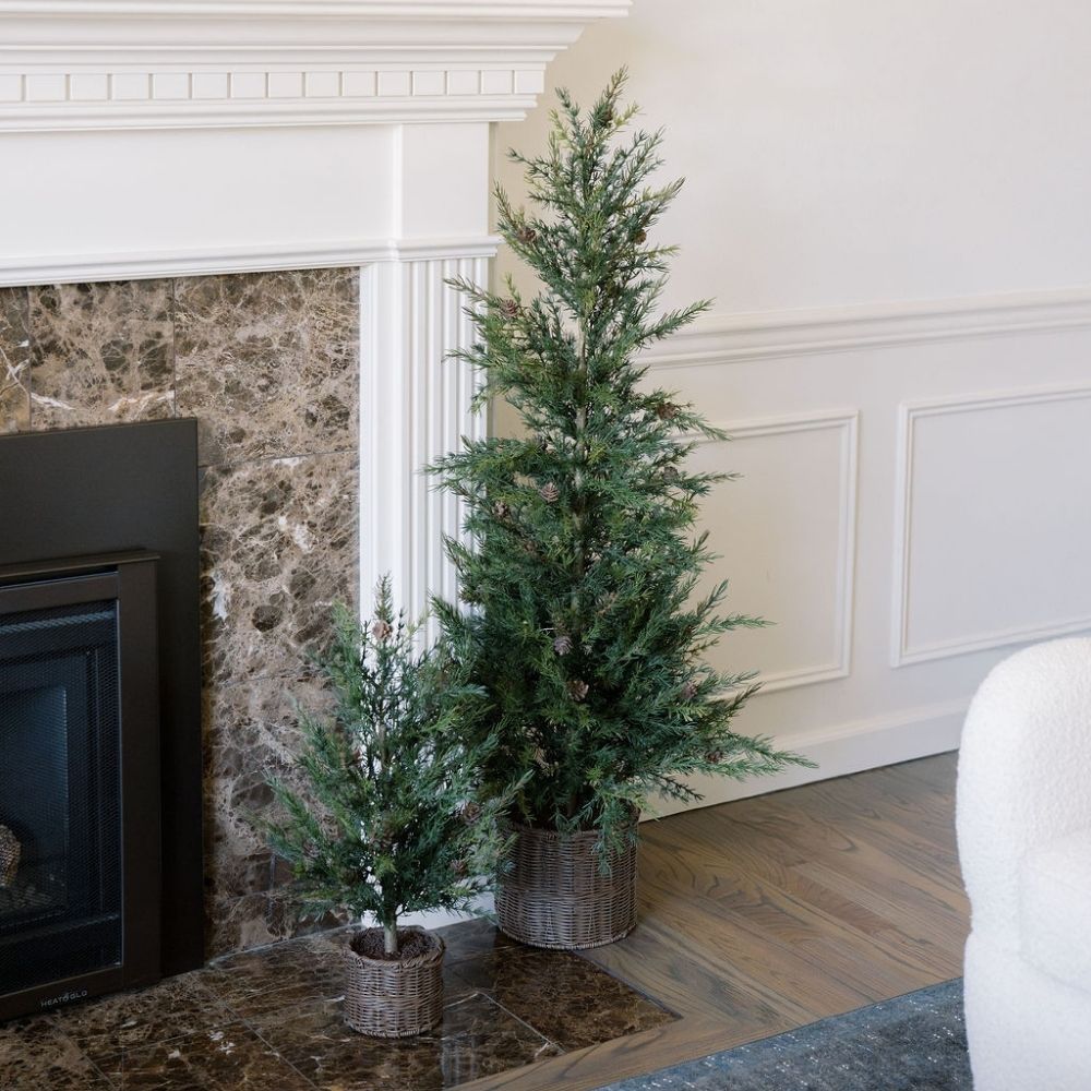 2' Pine Tree