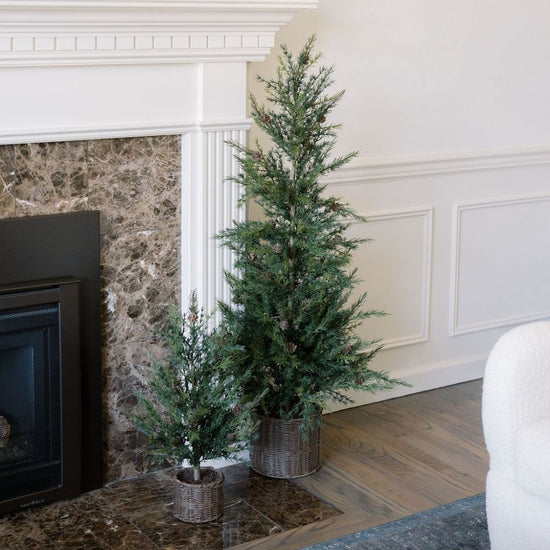 2' Pine Tree
