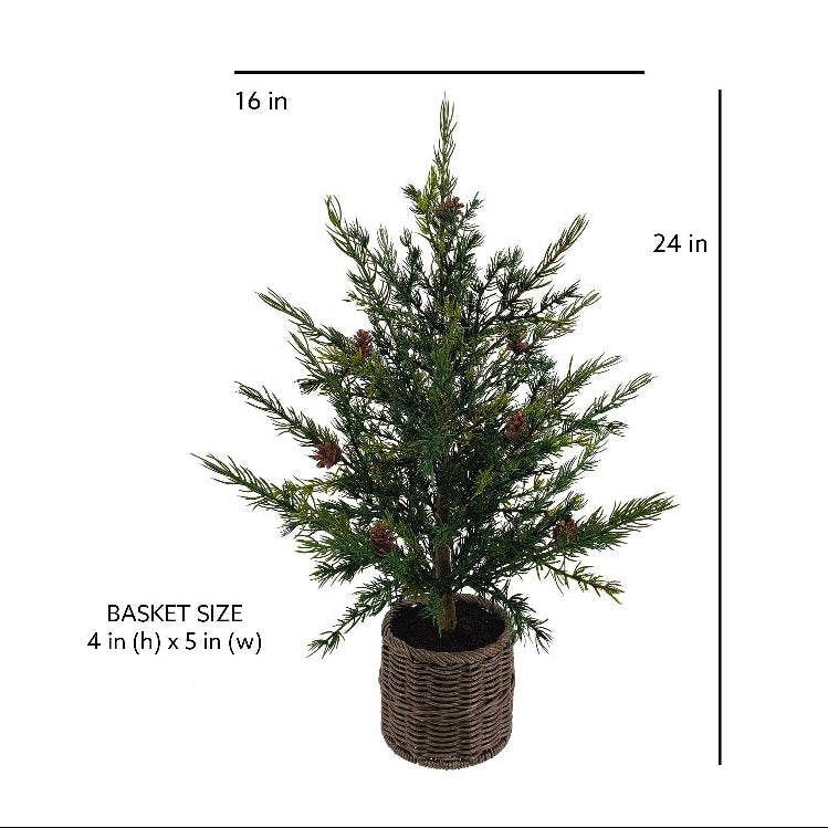 2' Pine Tree