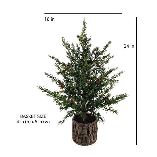 2' Pine Tree