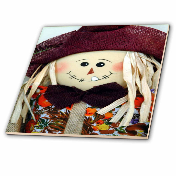 3dRose TDSwhite – Miscellaneous Photography - Cute Scarecrow Close Up - Tiles