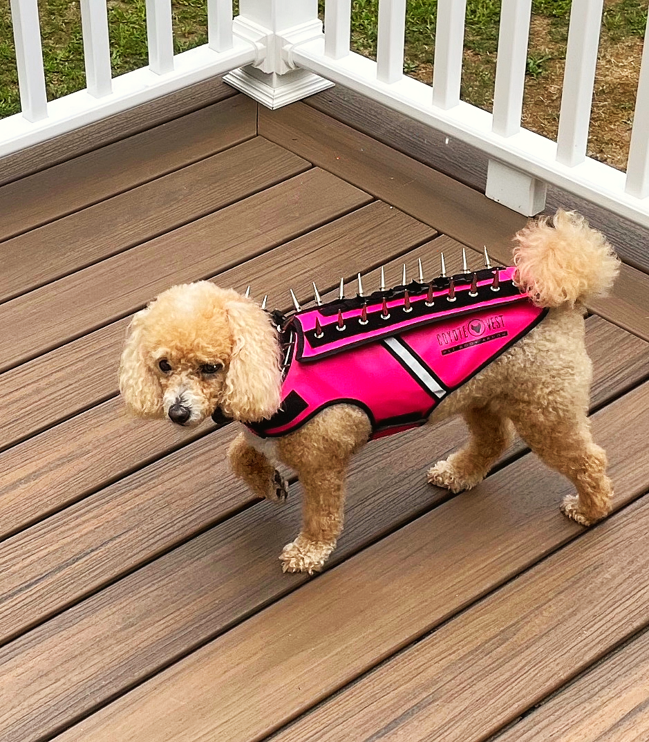 HawkVest