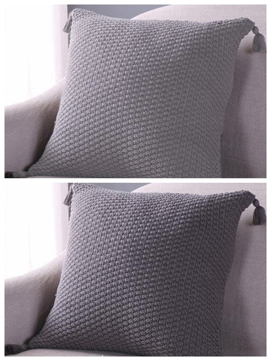 Set of 2 Beautiful combination Pillow Covers AND Inserts  mixed colors, one of each