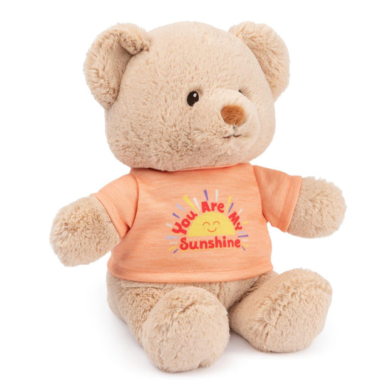 You Are my Sunshine Message Bear