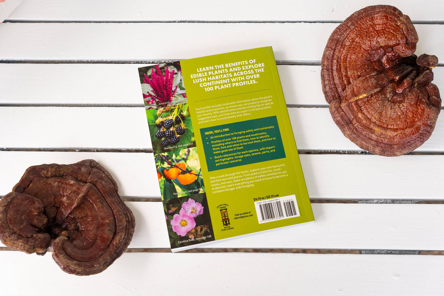 Foraging: An Illustrated Guide to Edible Wild Plants