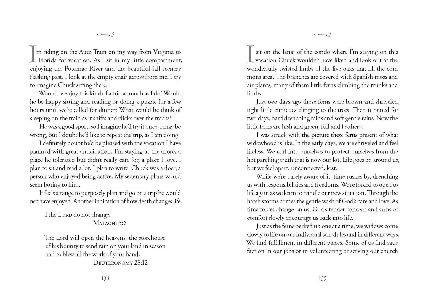 A Widow's Journey - Book