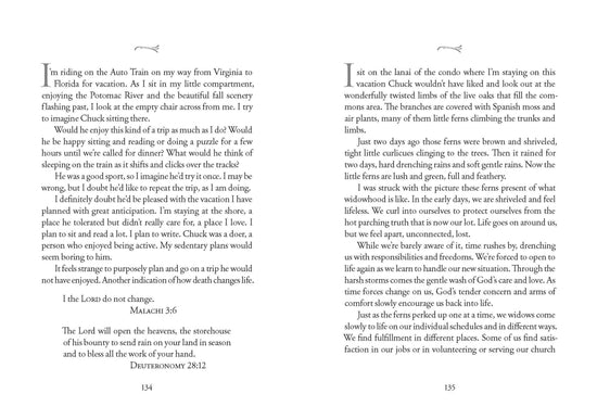 A Widow's Journey - Book