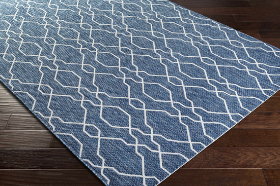 Aldford Outdoor Area Rug - Clearance