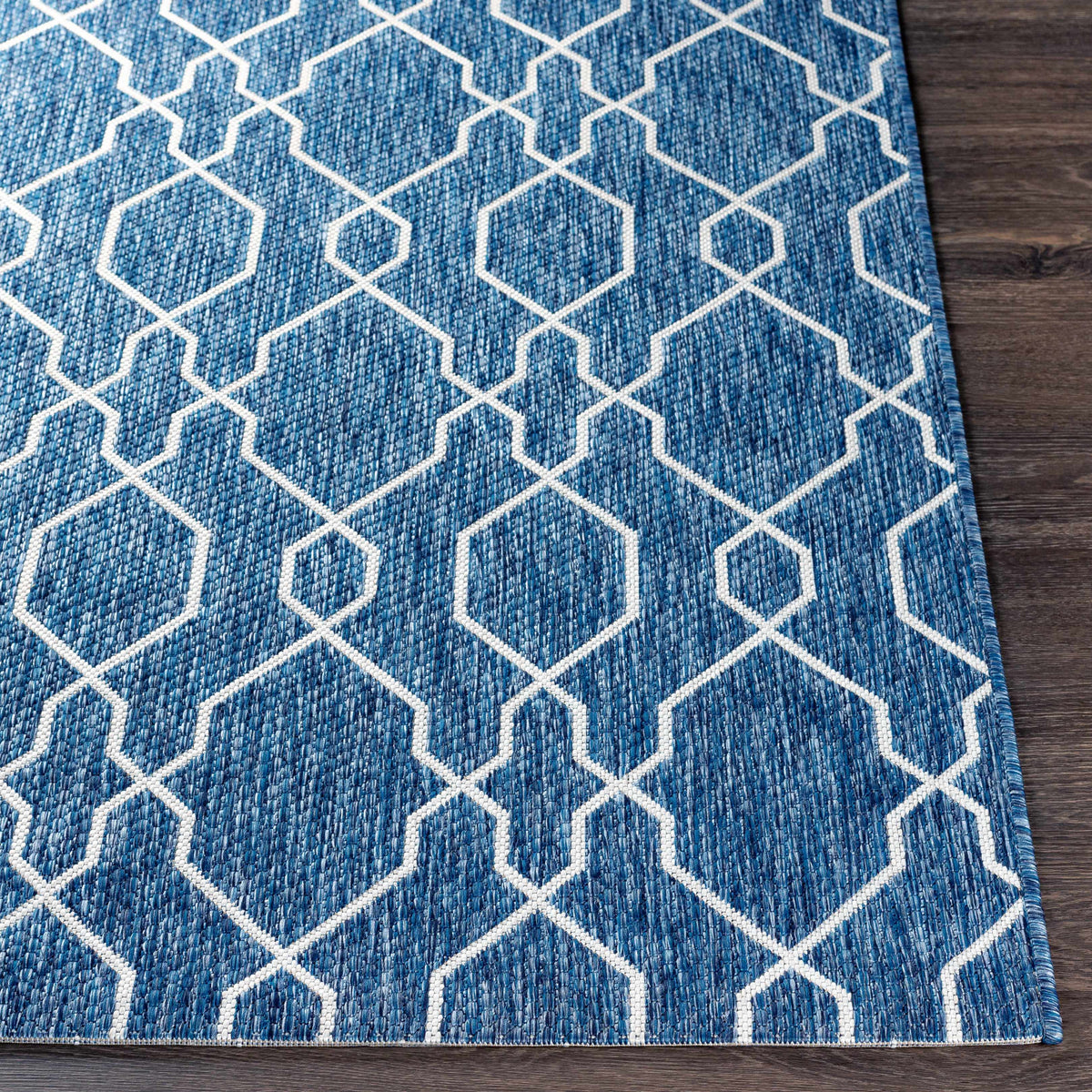 Aldford Outdoor Area Rug - Clearance