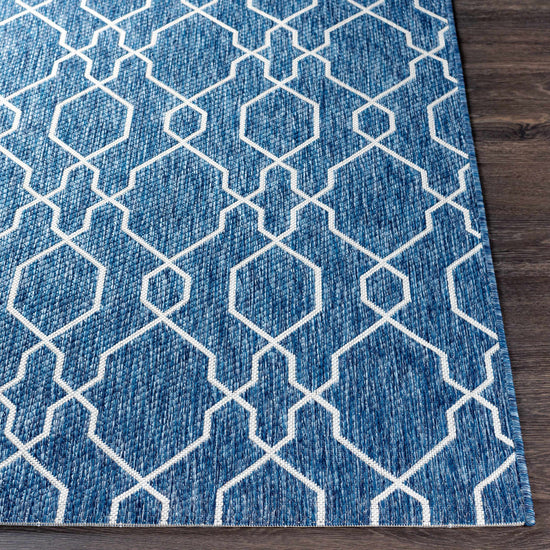 Aldford Outdoor Area Rug - Clearance