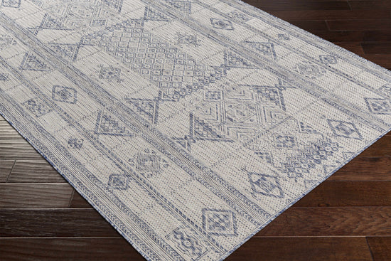 Malamig Gray & Blue Outdoor Area Rug - Clearance