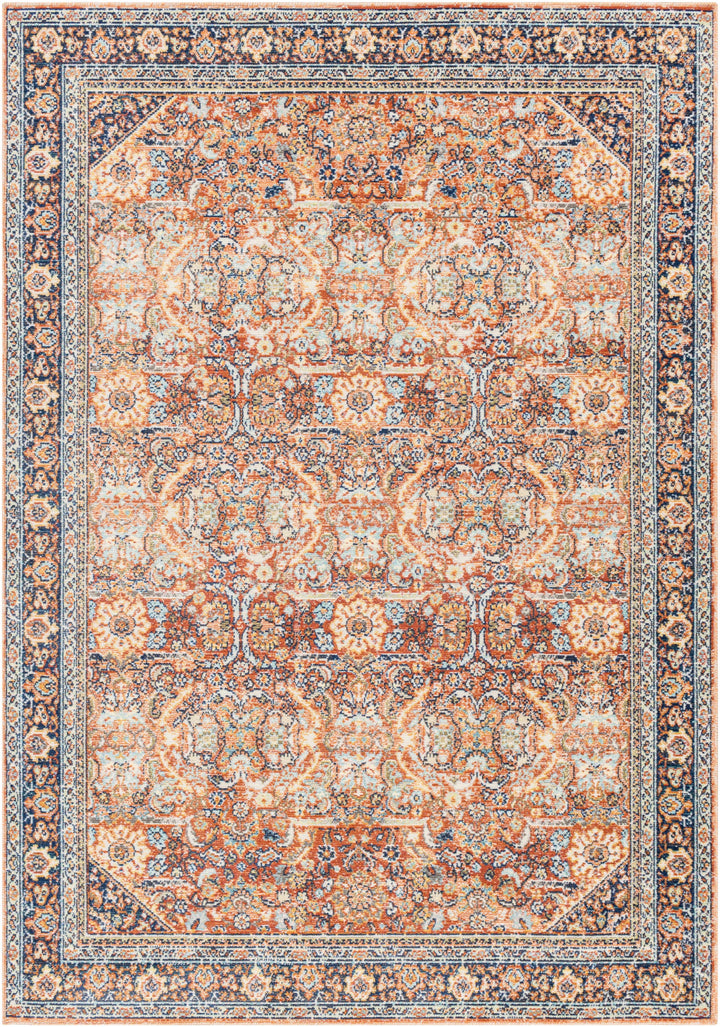 Ania Outdoor Area Rug - Clearance