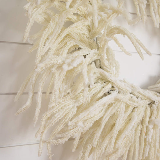 24" Artificia Real Touch White Norfolk Island Pine Wreath with Natural Look