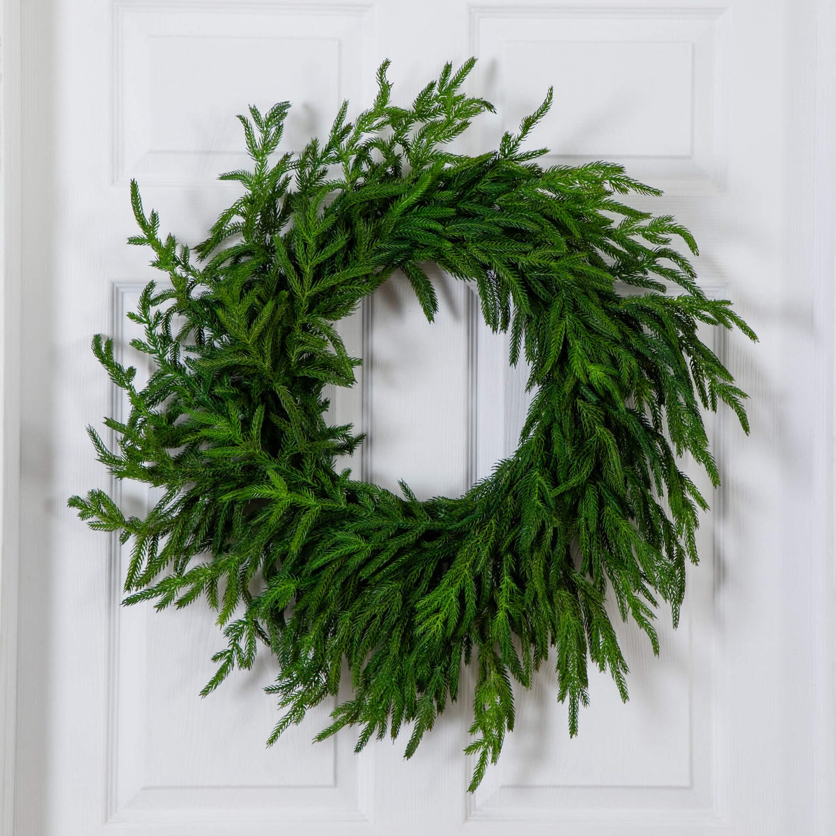 24" Artificial Real Touch Norfolk Island Pine Wreath with Natural Look