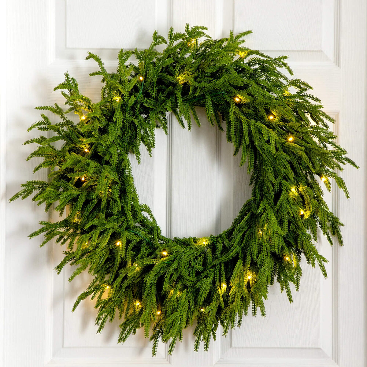24" Pre-Lit Artificial Real Touch Norfolk Island Pine Wreath with 50 Warm White LED Lights and Natural Look