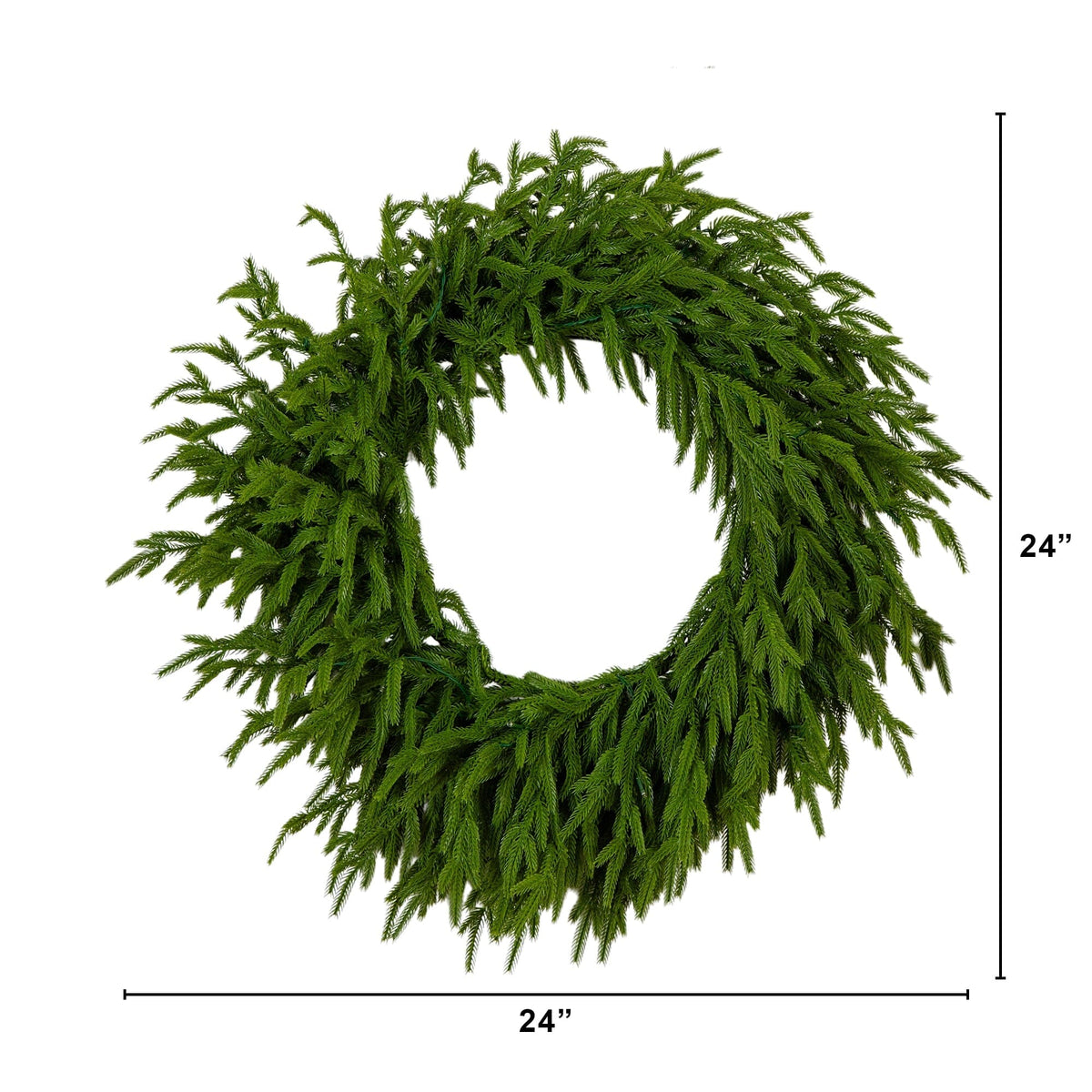 24" Pre-Lit Artificial Real Touch Norfolk Island Pine Wreath with 50 Warm White LED Lights and Natural Look