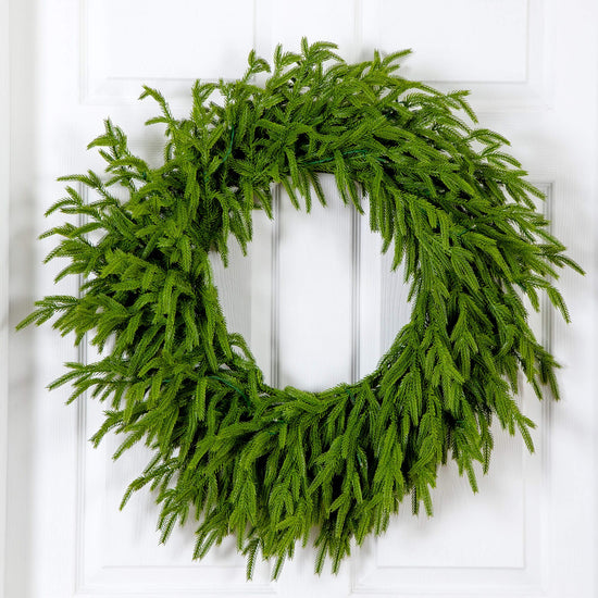 24" Pre-Lit Artificial Real Touch Norfolk Island Pine Wreath with 50 Warm White LED Lights and Natural Look