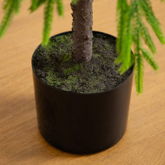 3' Artificial Real Touch Down Swept Norfolk Pine Tree with Natural Look