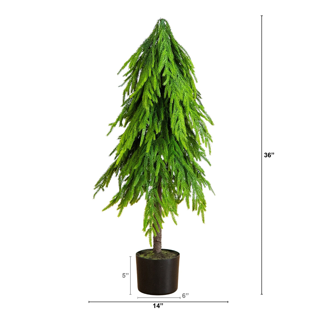 3' Artificial Real Touch Down Swept Norfolk Pine Tree with Natural Look