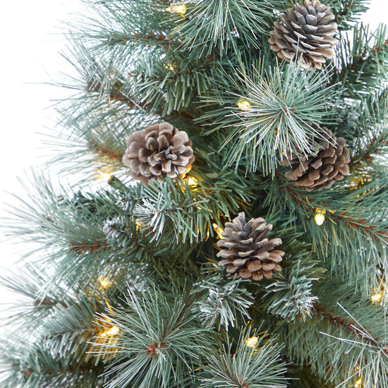 3.5’ Frosted Tip British Columbia Mountain Pine Artificial Christmas Tree