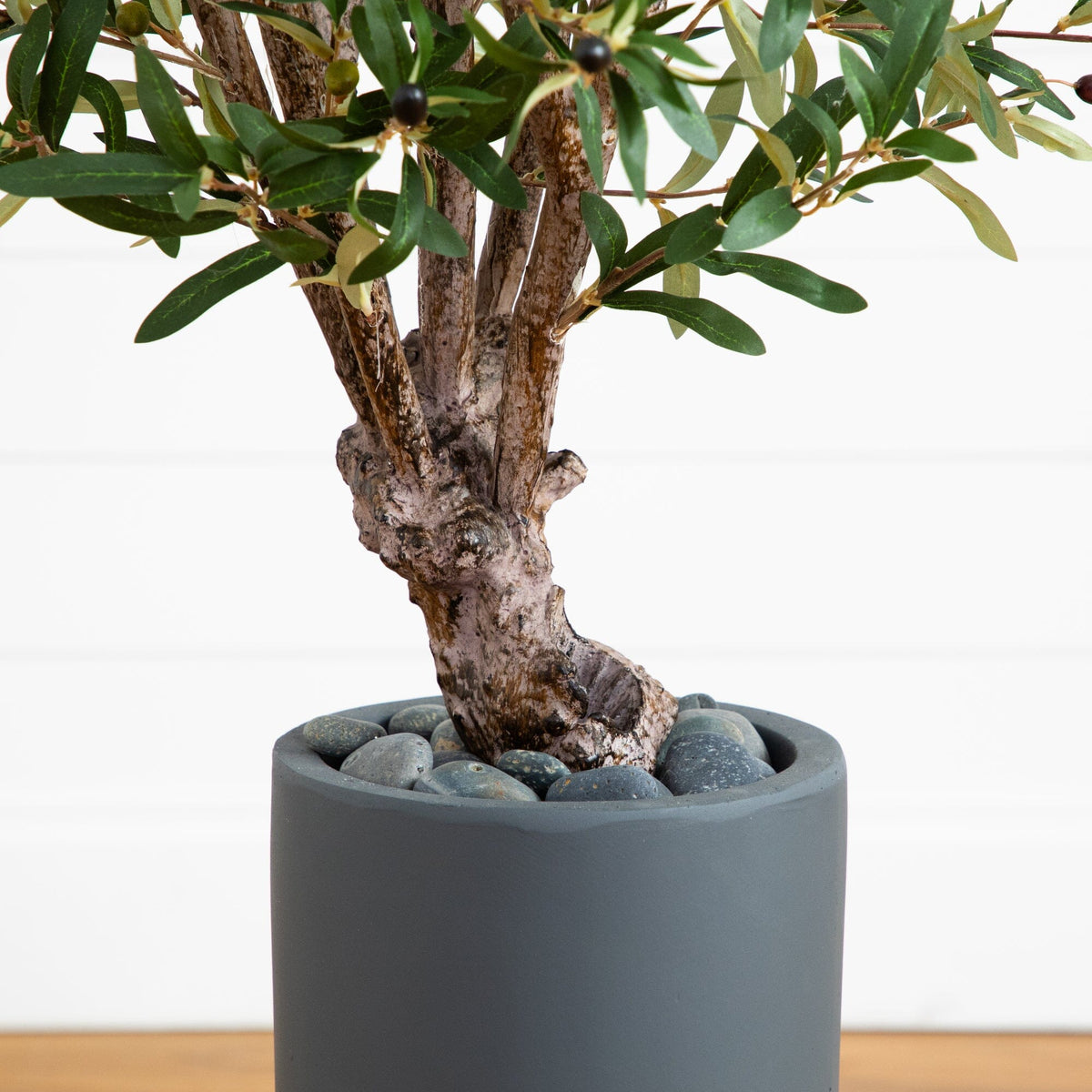 3.5’ Olive Tree in Gray Cylinder Planter