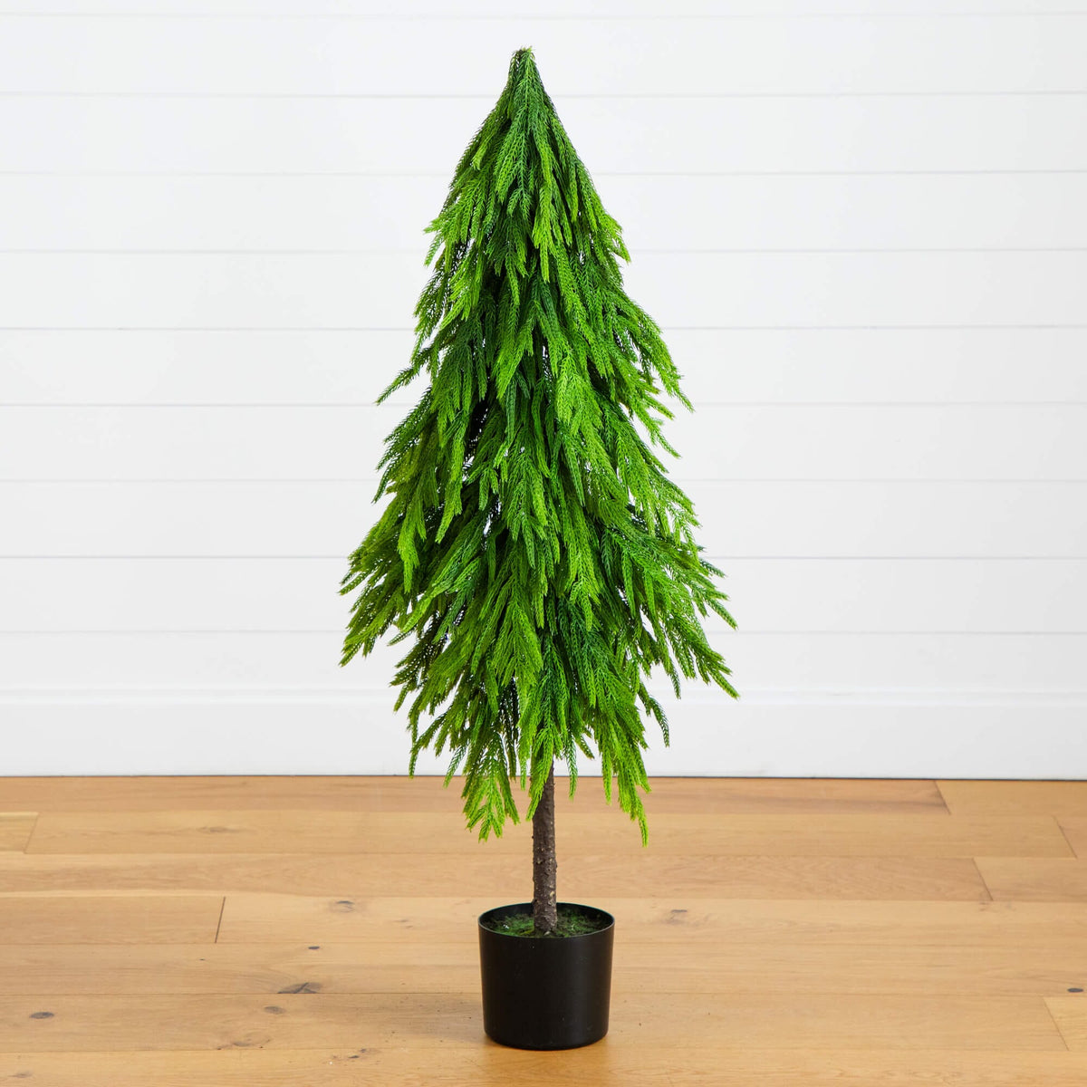 4' Artificial Real Touch Down Swept Norfolk Pine Tree with Natural Look