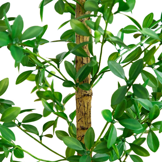 4' Artificial Shady Lady Black Olive Tree