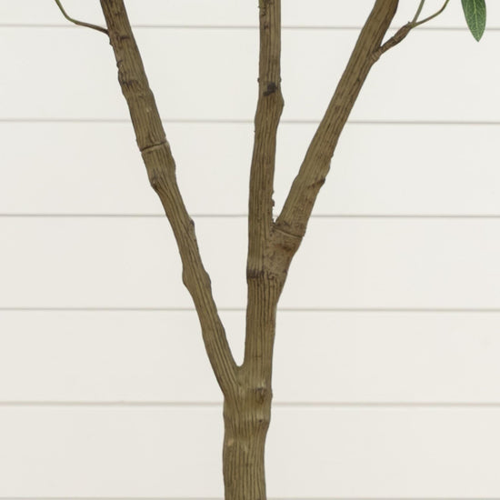 5’ Artificial Olive Tree in White Decorative Planter