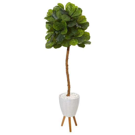 5.5’ Fiddle Leaf Artificial Tree in White Planter with Stand (Real Touch)