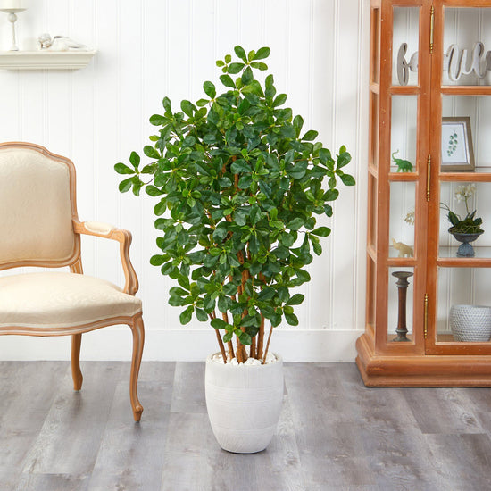 56” Black Olive Artificial Tree in White Planter