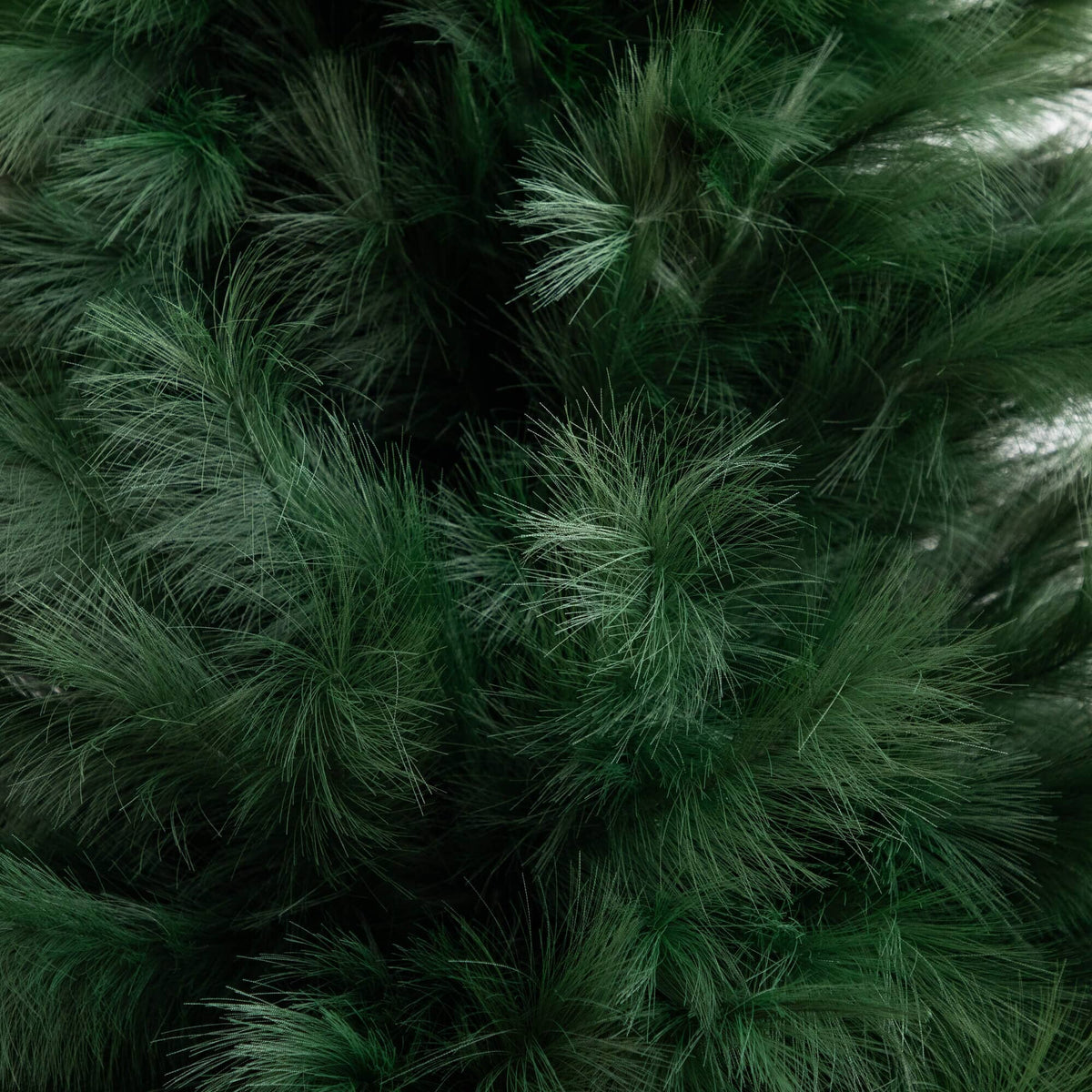6' Artificial Green Pampas Grass Christmas Tree, Christmas tree for living room, entryway or seasonal display