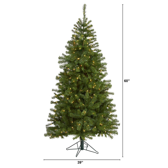 6' Springfield Artificial Christmas Tree with 300 Warm Clear Lights and 596 Tips, Christmas tree for living room, entryway or seasonal display