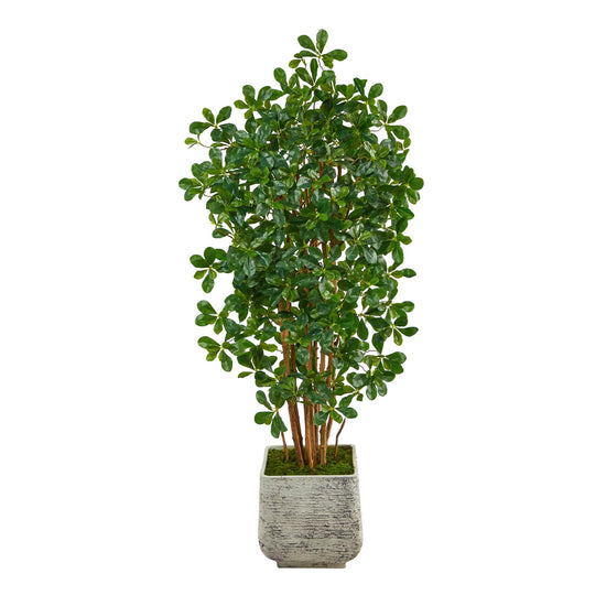 67” Black Olive Artificial Tree with 1365 Bendable Leaves in White Planter