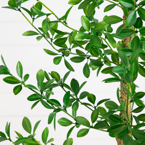 7' Artificial Shady Lady Black Olive Tree
