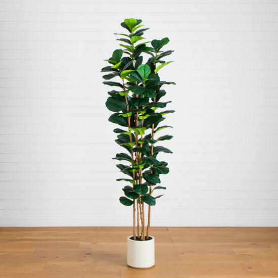 8' Artificial Fiddle Leaf Tree in Decorative White Planter