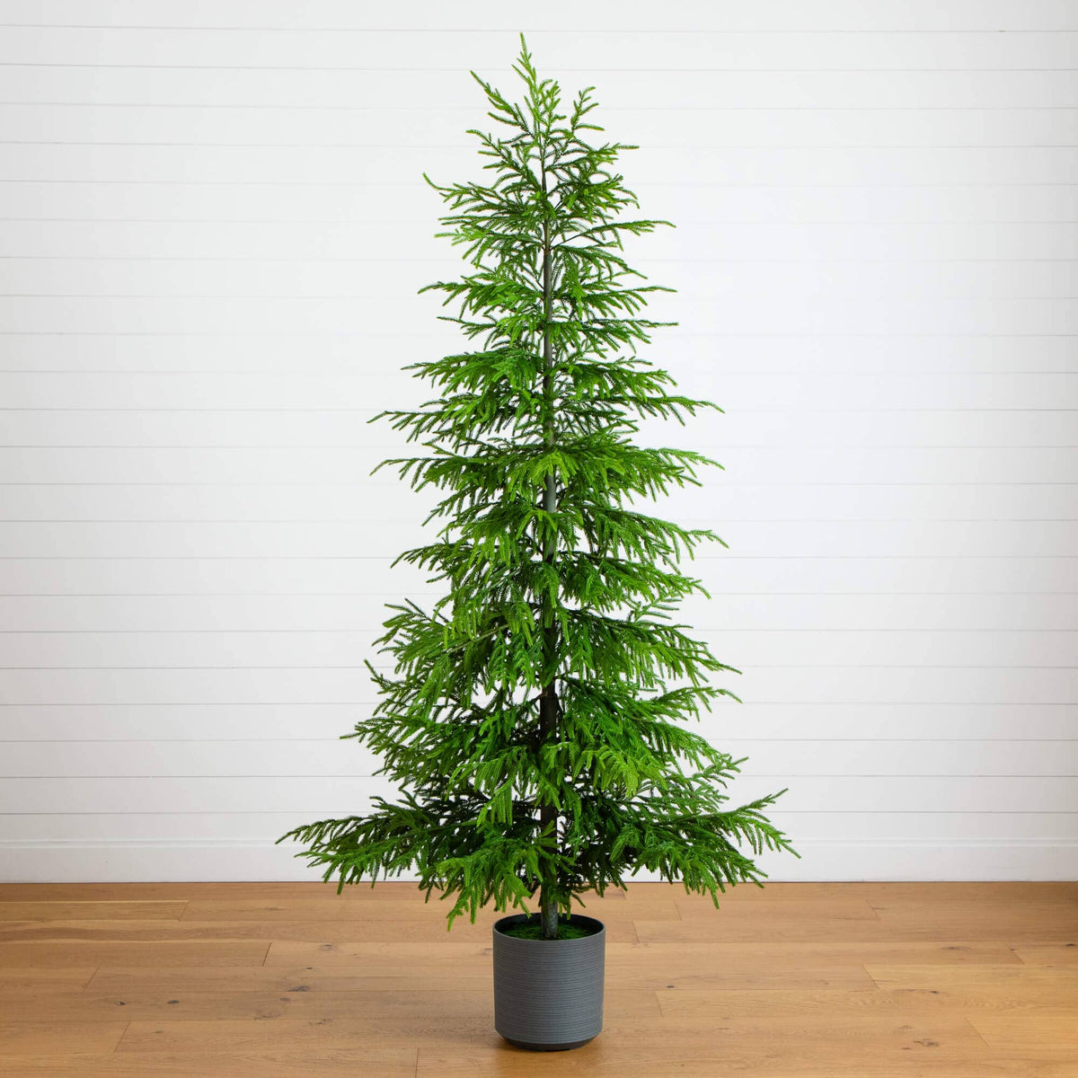 8' Artificial Real Touch Norfolk Island Pine Christmas Tree with Natural Look, artificial Christmas tree for festive holiday home decor from Cedar & Spice Gifts