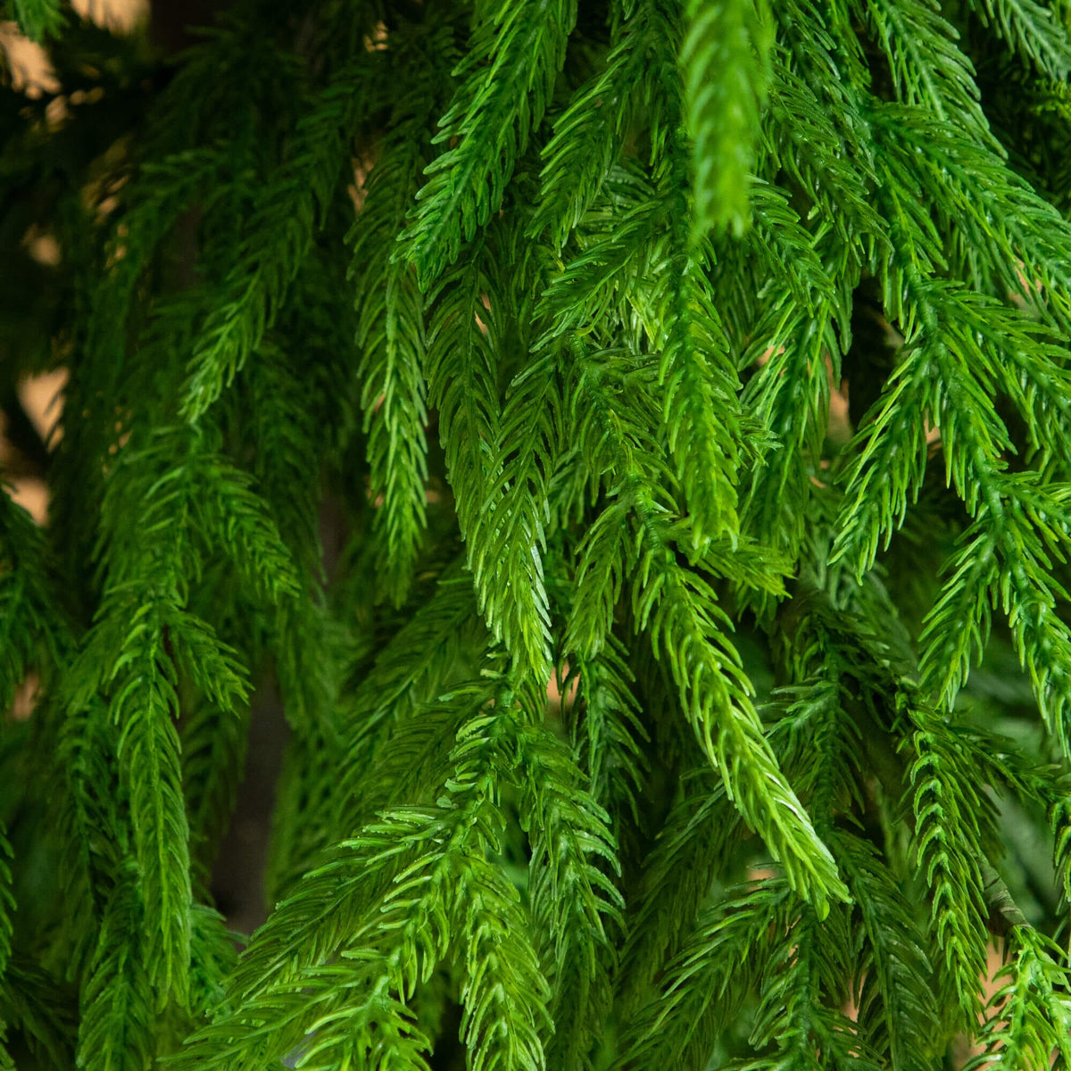 8' Artificial Real Touch Norfolk Island Pine Christmas Tree with Natural Look, Christmas tree for living room, entryway or seasonal display