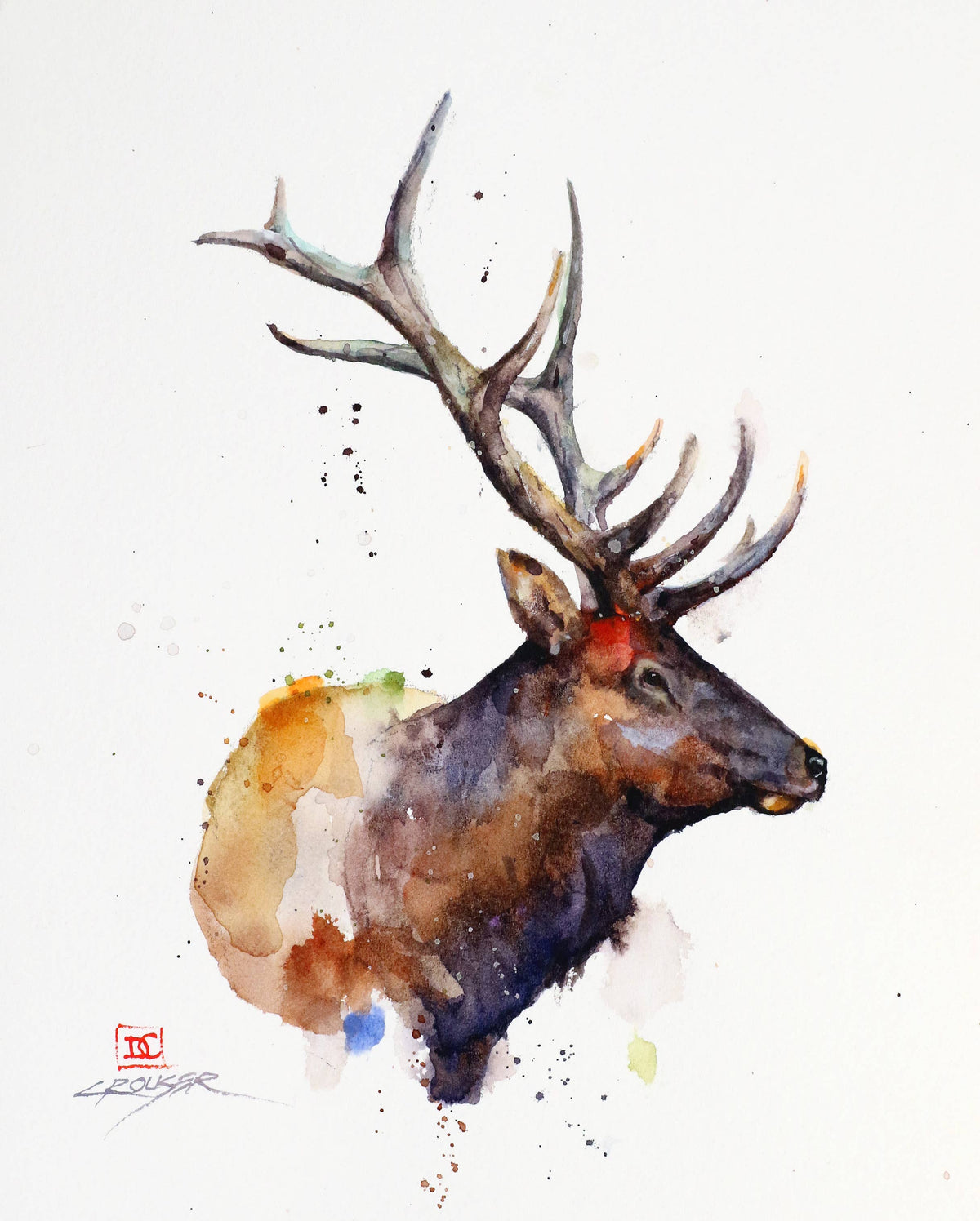 5 x 7" Greeting Card  'ELK'