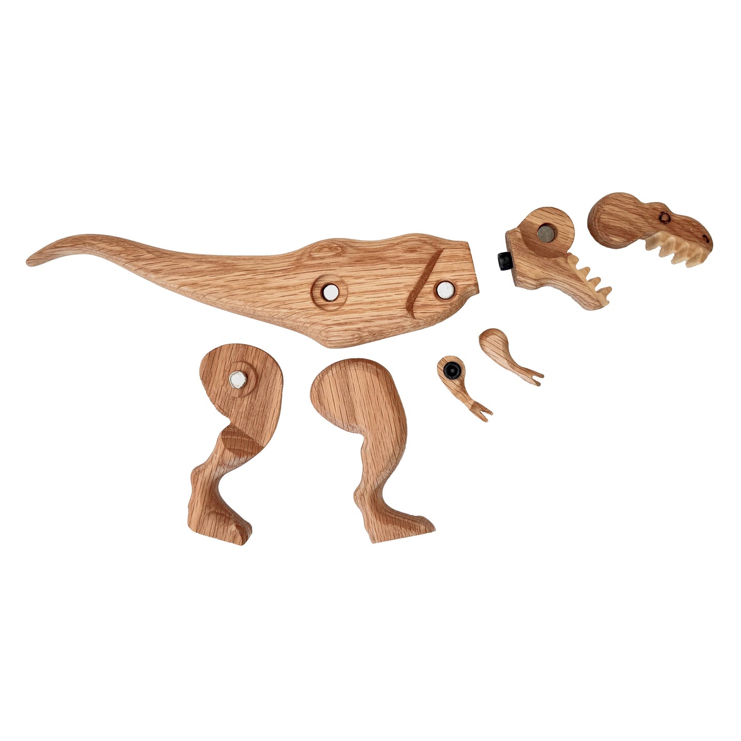 Wooden Tyrannosaurus Dinosaur with Magnetic Joints